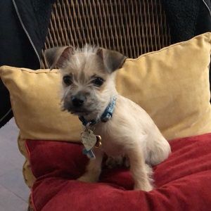 Meet your Posher, Andrea